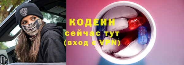 бошки Ельня
