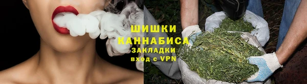 PSILOCYBIN Заволжск