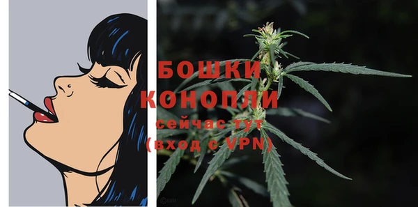 бошки Ельня