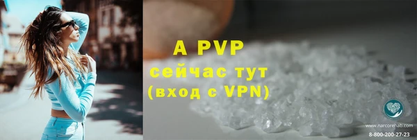 бошки Ельня