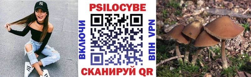 кракен зеркало  Знаменск  Псилоцибиновые грибы прущие грибы 