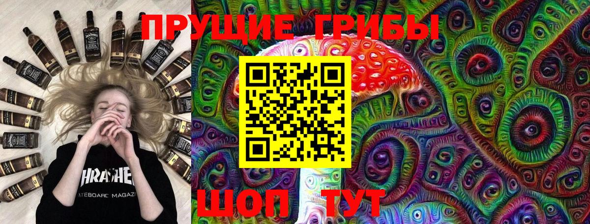 Знаменск  Псилоцибиновые грибы мицелий  Вход с VPN 