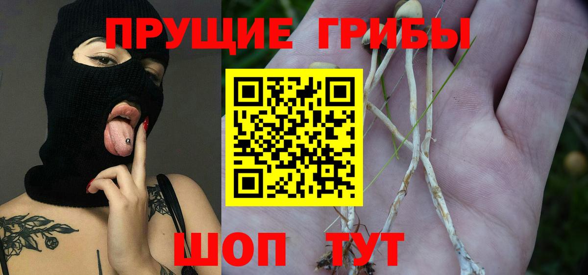 Галлюциногенные грибы мухоморы Знаменск