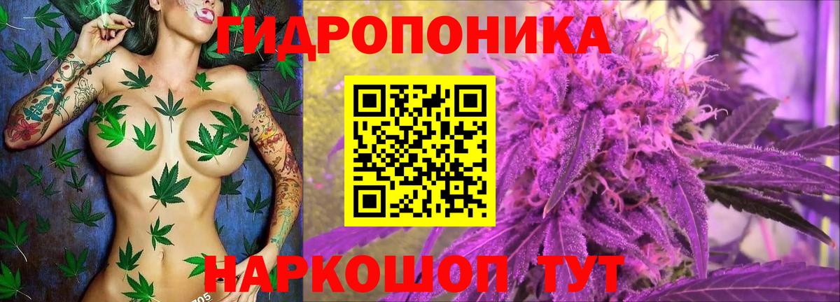 Каннабис семена  Вход с VPN  Знаменск  Канабис ГИДРОПОН 